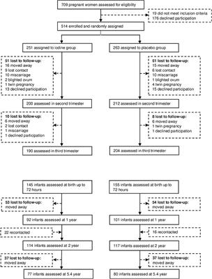 Iodine Supplementation in Mildly Iodine-Deficient Pregnant Women Does Not Improve Maternal Thyroid Function or Child Development: A Secondary Analysis of a Randomized Controlled Trial